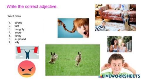 Adjectives 2