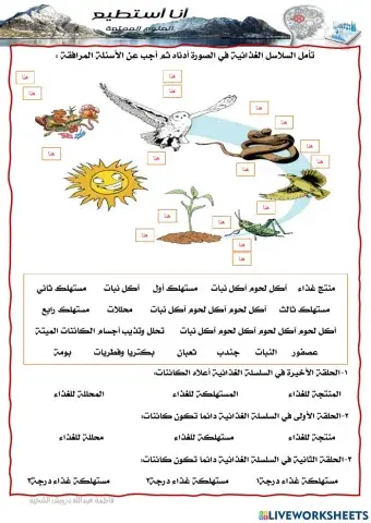 سلاسل الغذاء