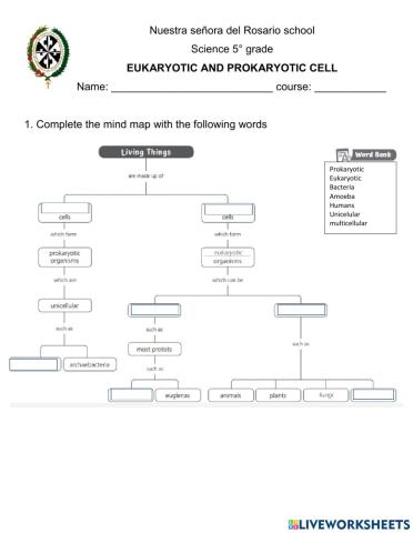 Eukaryotic and prokaryotic organism