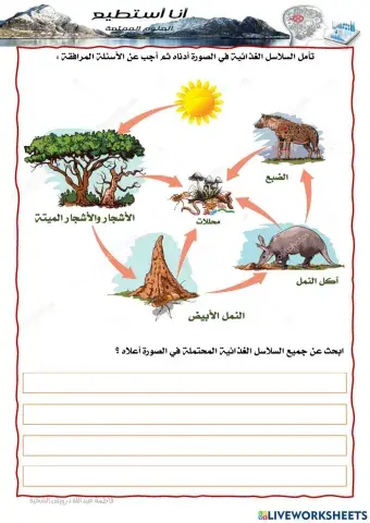 سلاسل غذائية