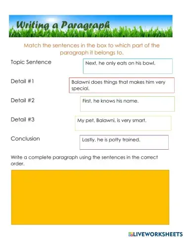 Writing a Paragraph 1