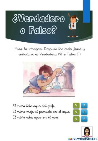 Verdadero o Falso