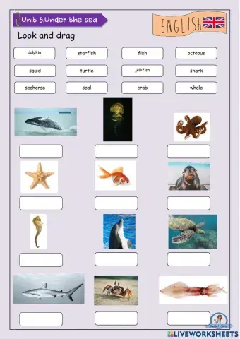 Sea animals