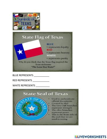 Getting to know texas symbols