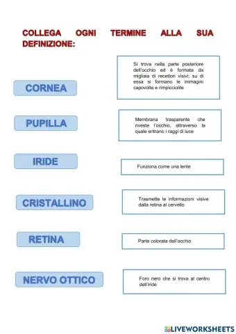 Funzioni delle parti dell'occhio