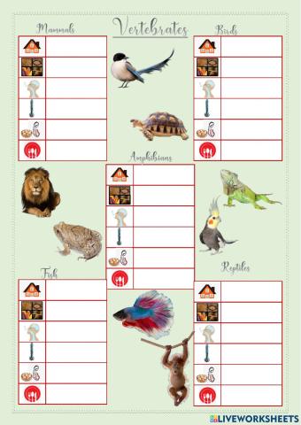 Vertebrates characteristics