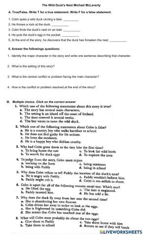 The wild duck-s nest by Michael Maclaverty