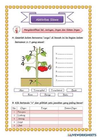 Identifikasi sel, jaringan, organ dan sistem organ