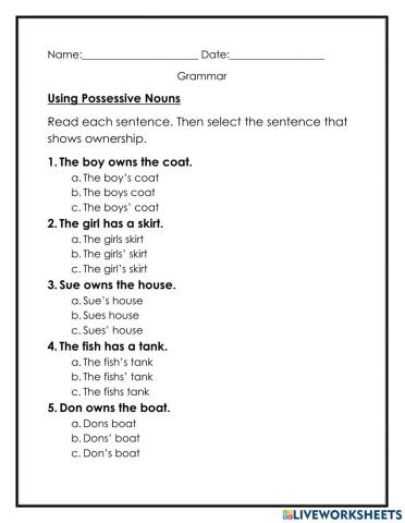 Possessive Nouns