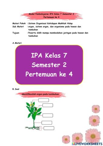 Ipa kelas 7 semester 2 minggu 4