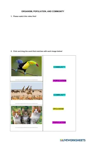 Organism, population, Community