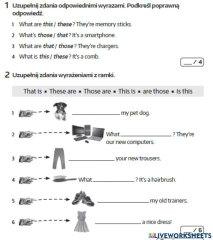 4a zaimki wskazujące