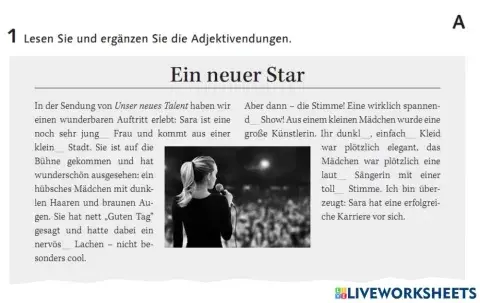 Adjektivdeklination Partner A