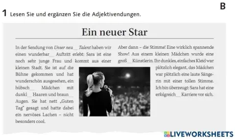 Adjektivdeklination Partner B