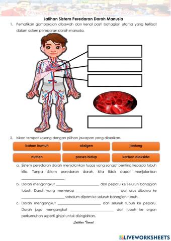 Tahun 5 Sistem Peredaran Darah Manusia