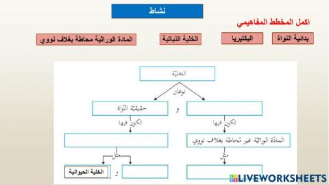 انواع الخلايا