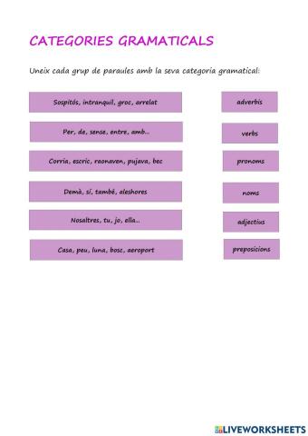Categories gramaticals I