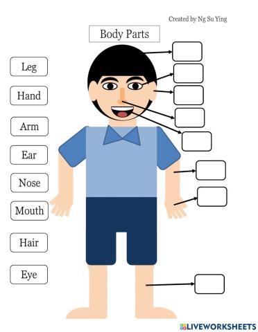 Body Parts (Easy version)