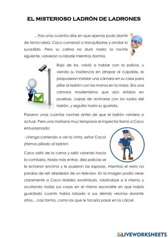 El misterioso ladrón