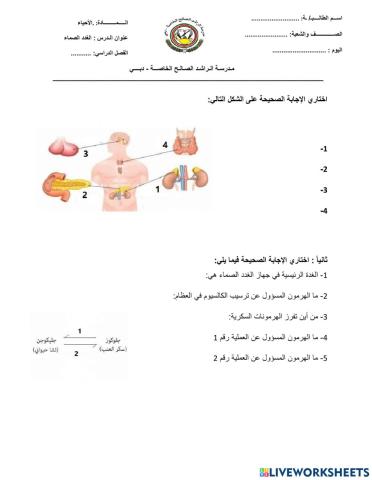 الغدد الصماء