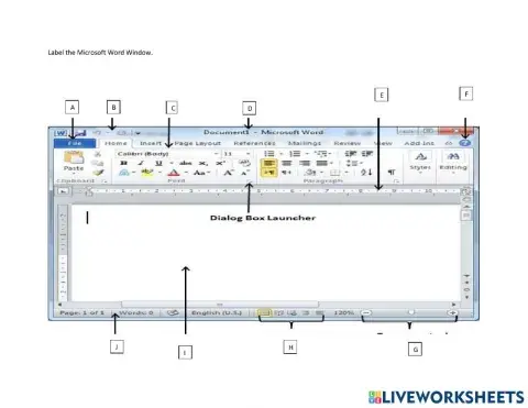 Microsoft Word Windows