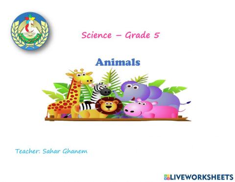 Food Chain and Food web