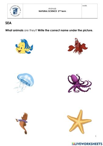 Sea animals