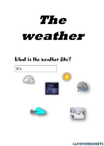 the weather