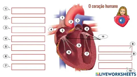 Legenda do coração