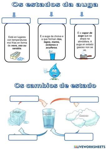 Os estados da auga