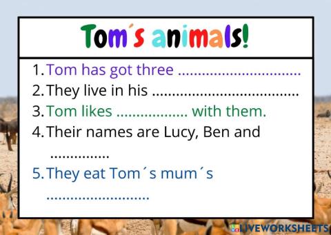 Tom-s animals