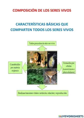 Composición de los seres vivos