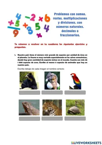 Problemas con sumas, restas, multiplicaciones y divisiones, con números naturales, decimales o fraccionarios
