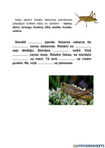 Teikuma gramatiskais centrs