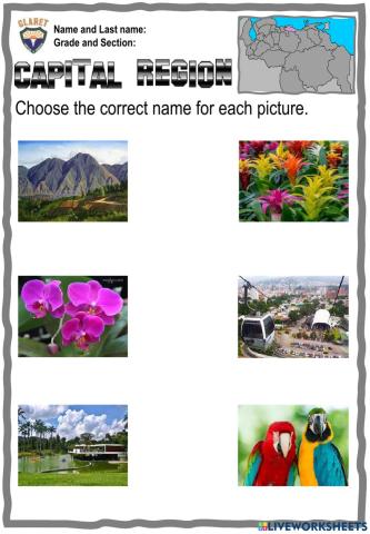 3rd.grade. Project week 11