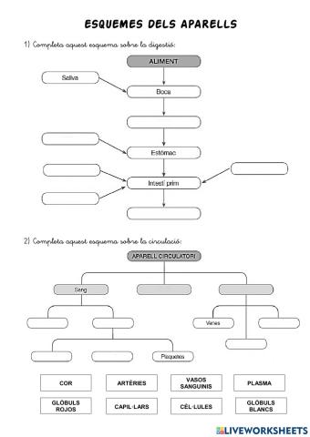 Esquemes dels aparells