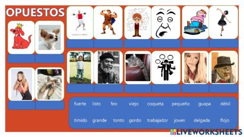 Opuestos