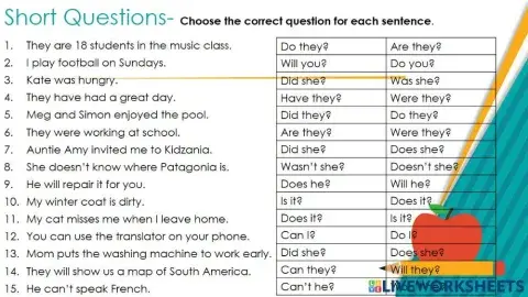 Short Questions-Echo Questions