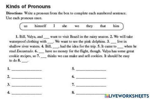 Singular and Plural Pronouns