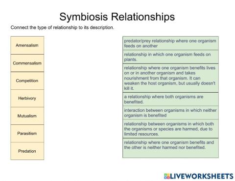 Symbiosis Relationships