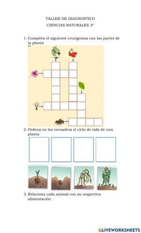 Taller de diagnostico 3º