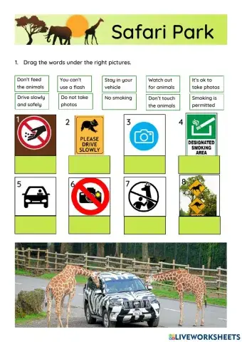 Safari Park (rules)