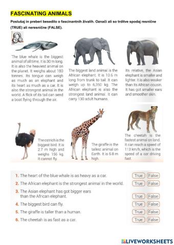 Fascinating animals