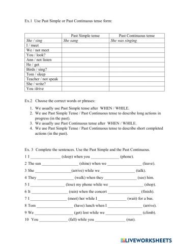 Past Simple and Past Continuous