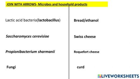 Household products and microbes