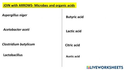 Microbes to make organic acids