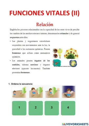 Función de relación