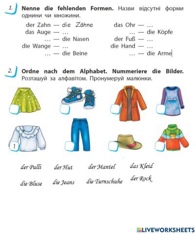 Der Mensch (Kleidung, Körperteile)