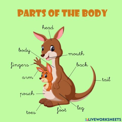 Parts of the Body