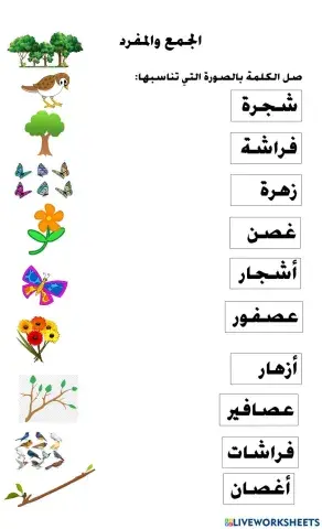 المفرد والجمع